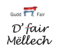 500_logo-mellech